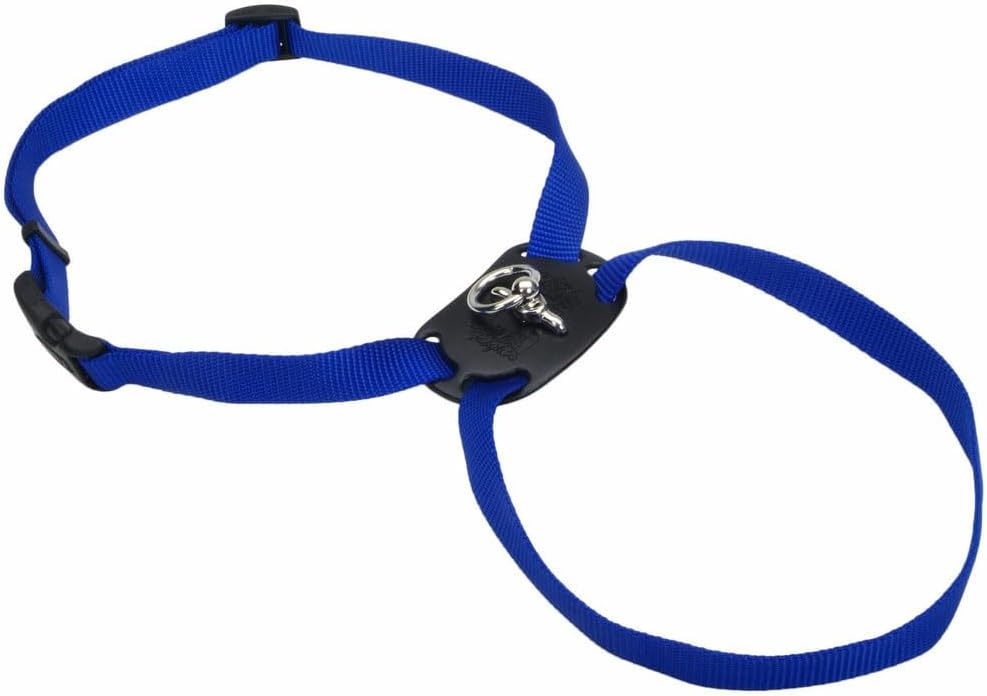 Coastal Size Right Adjustable Harness - Dog Harness - Blue - Girth 1