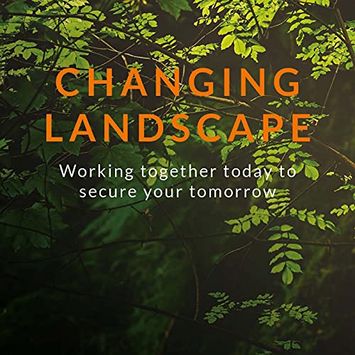Changing Landscape cover art