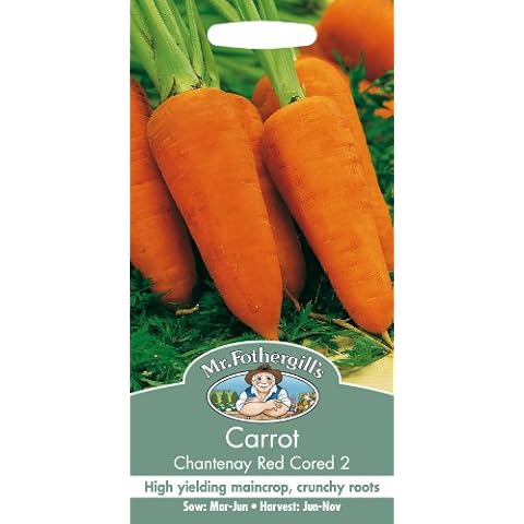 Mr Fothergill's Chantenay Red Cored Carrot Seeds Cover
