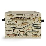 Ghoaoivo Vintage Fish Coastal Beach Storage Box Bins, Fish Lover Gifts Collapsible Storage Basket Organizer for Bedroom Laundry Room Home Cabin Clothes Toys Books, Toybox for Boys