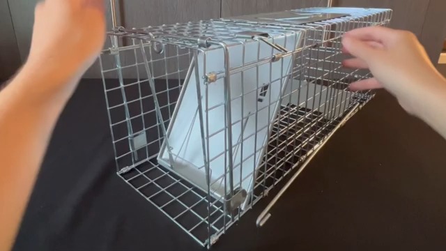Amazon.com: Answer Live Catch and Release Skunk Trap – Humane