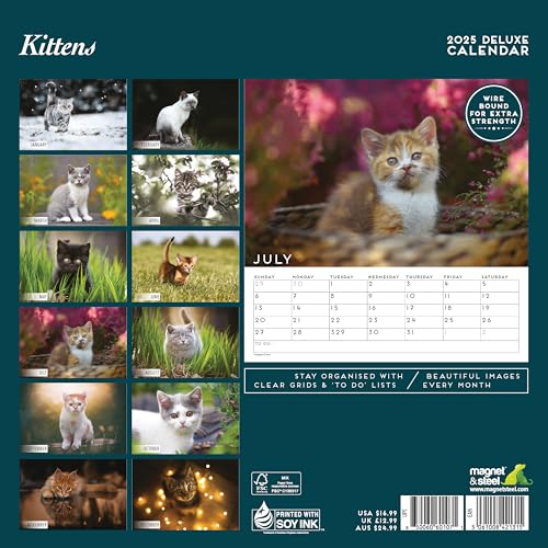 Kitten 2025 Deluxe Calendar, Various - Image 2