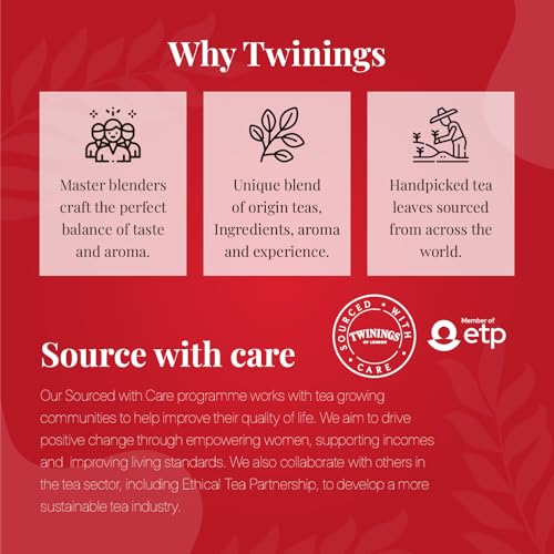 Image of Twinings English Breakfast Tea, 100 Tea Bags| Pack of 1| English Classic Range| Premium Black Tea| Medium Strength| Rich & Smooth Flavour| Enjoy a Hot Cup of Tea