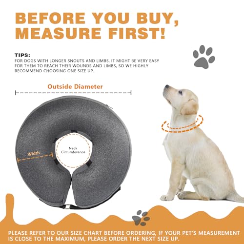 Image of Dog Cone Collar, Gray,M-2