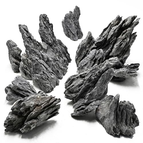 Unocho Aquarium Rocks Natural Seiryu Stone 20lb Aquascaping Rocks for Fish Tank Aquarium Landscaping Decoration Paludarium Amphibian Enclosures(3-10 Inches)