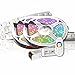 10M PREMIUM 24V RGB+WW RGBW LED Streifen LED Band LED Strip 5050 SMD RGB+Warmweiss LED Lichtleiste 600LEDs 60LED's/M+controll mit RF TOUCH Fernbedienung +24v 8,33A 200W Netzteil ULTRA SLIM TRAFO