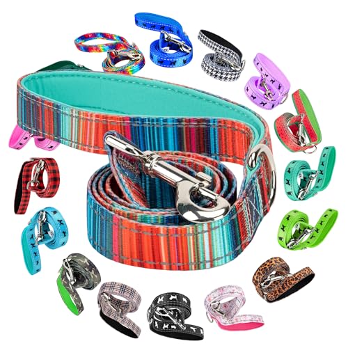 EcoBark Dog Leash - Soft & Reflective Comfort Leash with Padded Handle - Safe, Strong, & Durable for Small, Medium or Large Dogs (Multicolor Stripe)