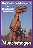  Dinosaurier-Freilichtmuseum und Naturdenkmal „Saurierfährten“ Münchehagen