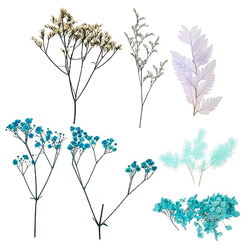 Flor Prensada para Decoración y Manualidades miniatura 1