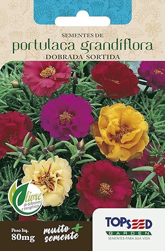 2X Sementes de Portulaca Onze Horas Dobrada Sortida 80mg