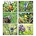 Current 2026 Bird Lovers Wall Calendar, 12-Inch x 9-Inch Size Closed, 18-Inch Size Open, Large Bookstore-Quality, Spiral-Bound Hanging Monthly Wall Calendars for Kitchen & Office