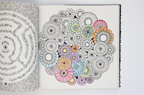 Secret Garden: An Inky Treasure Hunt and Coloring Book for Adults - Image 2