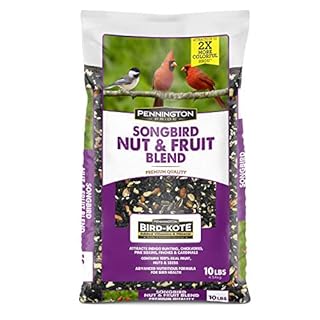 Dry Wild Bird Food and Seed  Sunflower Chips  5 lb. Bag  1 Pack