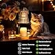 Marycele Kerzenwärmer Lampe, Candle Warmers mit Timer und Dimmer, Duftlampe Elektrisch Home Decors, Geschenke für Frauen Geburtstagsgeschenk, Deko Wohnzimmer, Aroma Diffusers mit 2 Glühbirnen, Gold