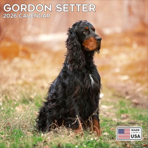 2026 Gordon Setter Calendar - Dog Breed Wall Calendar - 12 x 24 O...