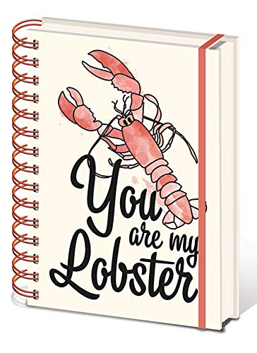 Friends, You Are My Lobster, taccuino con licenza ufficiale, in