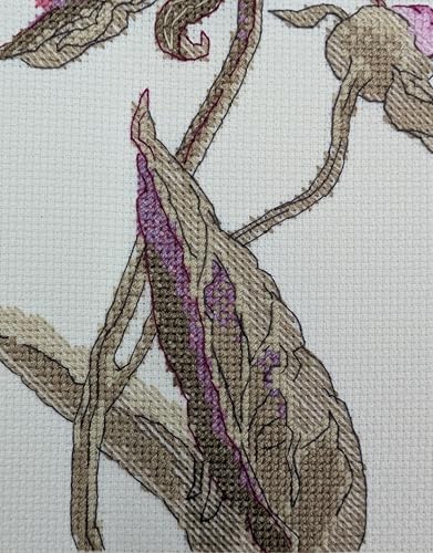 Image of Aine - Peonies. Grace A1008, Cross Stitch Kits 8 inchx11, Cross Stitch Kits for Beginners & Advanced, Crossstitching Kits Adult, Counted Cross Stitch Kits for Adults, Flowers Embroidery Kit
