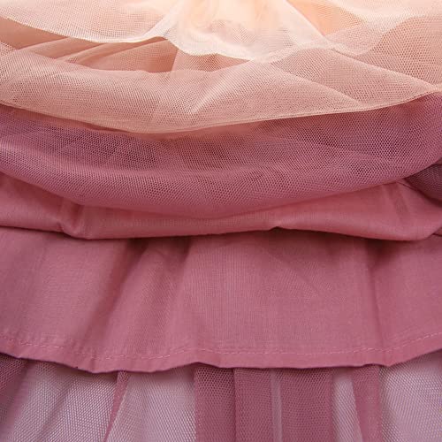 Agqt Baby Girls Tulle Tutu Dress Long Sleeve Multi-Layer Lace Dress Knit Round Neck Casual Dress Christmas Fall Winter Party Dresses Pink-Colorful Size 18-24 Months #TOP4