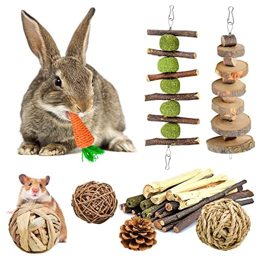 KAONESS Set di Giocattoli da Masticare per Coniglio, Giocattolo per Animali Domestici per Chipmunk Guinea Pig Totoro