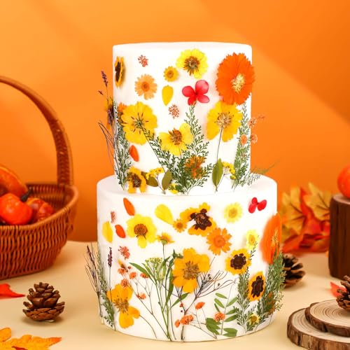 77 piezas flores secas prensadas otoño decoración miniatura 3