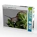 Produktbild CALVENDO Puzzle Cornu aspersum - gefleckte Weinbergschnecke - 1000 Teile Foto-Puzzle für glückliche Stunden
