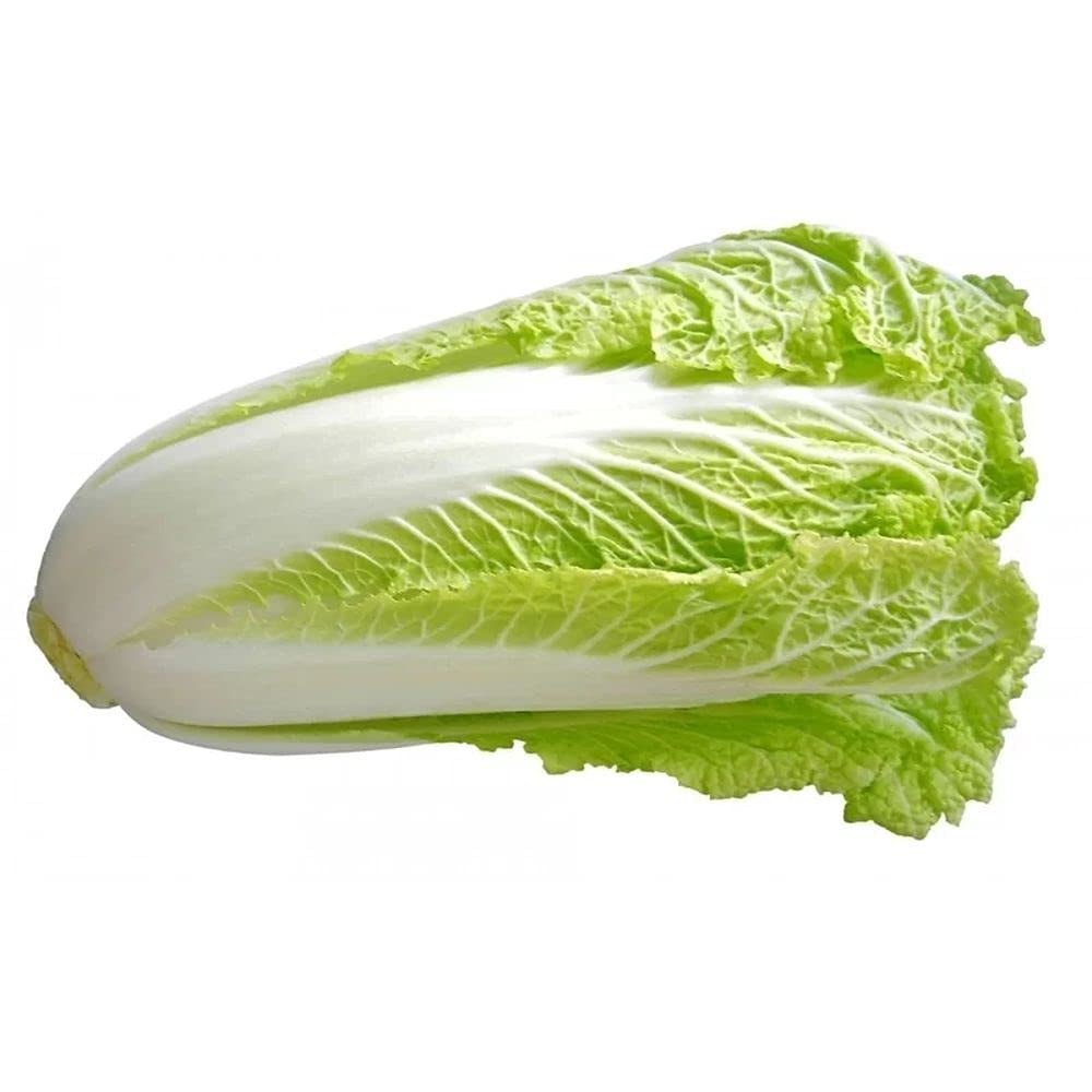 Live Green Chines Cabbage Microgreen Salad Leaf 100% Organic Seeds (Live Green) (B0995H9XLH) Amazon Price History, Amazon Price Tracker