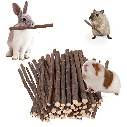 Find The Best Food For Rabbits Teeth Reviews & Comparison Katynel