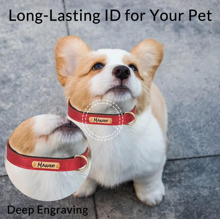 Hundehalsband aus Leder, mit tiefer Gravur, für kleine, mittelgroße und große Hunde und Katzen, personalisierbar