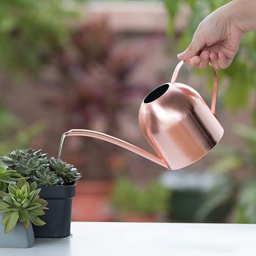Miniatura 4 de Recipiente de acero inoxidable para plantas de interior y jardín