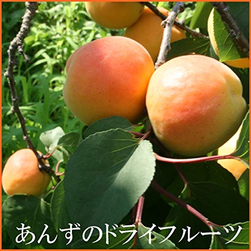 Amazon.co.jp: ドライ アプリコット たっぷりサイズ 700g 種抜き