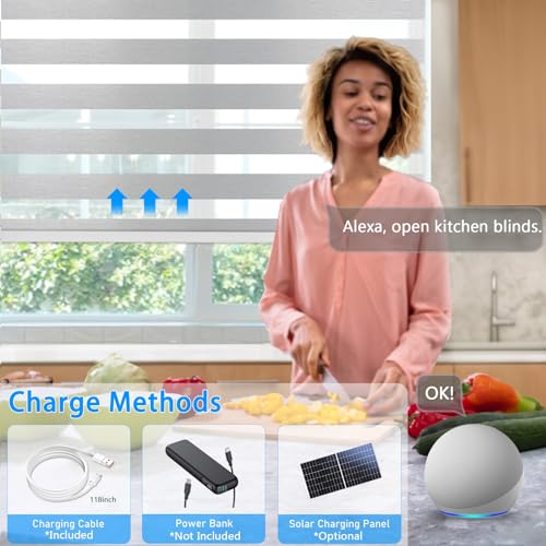 Image of Motorized Zebra Blinds Custom Size Smart Dual Layer Shades for Windows with Remote | Assembled in USA | Electric Day and Night Privacy Light Filtering Rechargeable Quiet Motor Window Shades