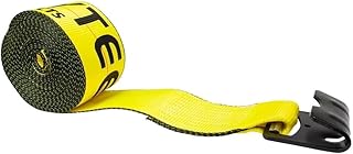 Mytee Products 4 in. x 30 ft. Winch Strap with Flat Hook