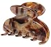 France Luxe Small Couture Jaw - Africa