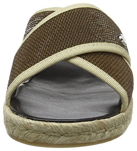 Pollini