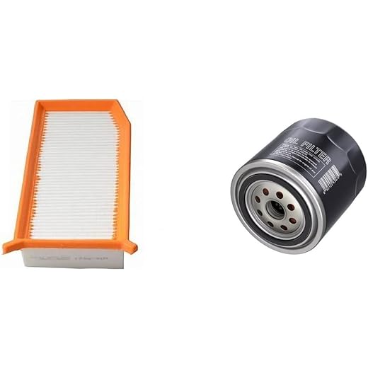 Air Filter + Oil Filter Duster 110ps