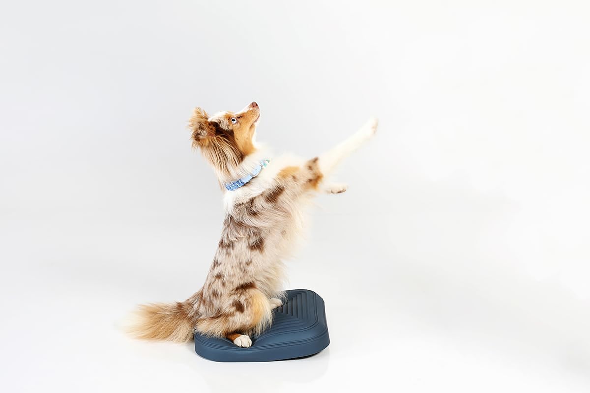Togu Dynair® Animal Pad Misty Mountain - Hundetraining