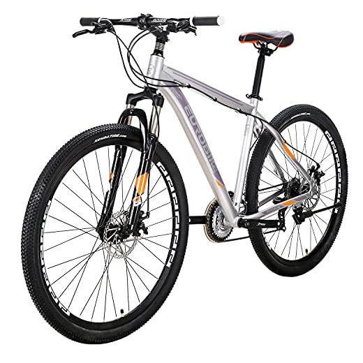 EUROBIKE Mens Mountain Bike, YH-X9 Mountain Bike 29 inch, Aluminum Bikes for Men 29er (Multi-Spoke Silvery)