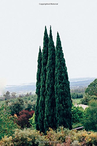 Beautiful Tall Thin Italian Cypress Evergreen Trees Journal: 150 Page Lined Notebook/Diary