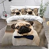 🐼【Ungewöhnliches Geschenk】: Dieser lebhaft gemusterte Bettbezug bringt die Wärme von zu Hause in Ihr Schlafzimmer, Gästezimmer, Ferienhaus, Wohnheim und Wohnmobil. Es ist nicht nur leicht und einfach zu tragen, sondern kann auch für Reisen, Geburtstage, Hochzeiten, Weihnachten, Muttertag, Thanksgiving, Jubiläen und andere Feste verwendet werden.