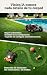 Imagen de Worx Landroid Vision Cloud WR340E 4WD Robot Cortacésped