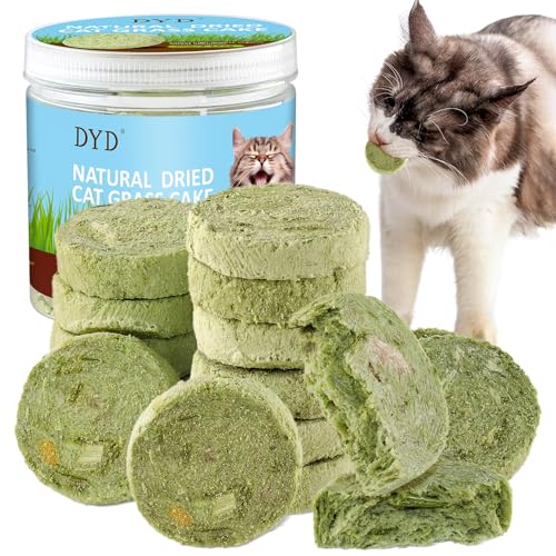 DYD Hierba Gatera para Gatos Liofilizado Golosinas para Gatos, Snack Nutritivo de Hierba para Gatos, Ayuda a Expulsar Las Bolas de Pelo, Protege el EstóMago y los Intestinos del Gato