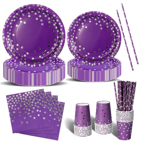 Nkaiso Anniversaire Vaisselle de fete 120 Pièces Violet et Argent Party Assiette Anniversaire Set...