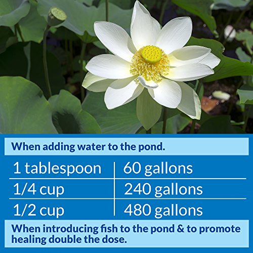 Api Pond Stress Coat Pond Water Conditioner 32-Ounce Bottle #TOP4