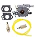 HIPA Carburetor with Repower Kits for Poulan 2200 2275 2500 2600 2750 2775 2900 3050 PP255 PP295 PP310 PP315 PP4620AVL PP4620AVX PP4620AVHD Gas Chainsaw