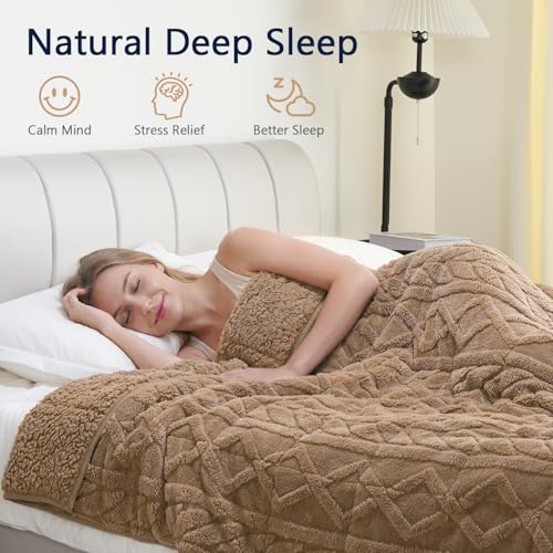 Image of Mr. Sandman Weighted Blanket Queen Size 15 lb, Soft Jacquard Sherpa Weighted Blanket for Adults, Soft Fluffy Heavy Throw Blanket for Relaxing Sleep and Calming Comfort, 60 x 80 Inch, Warm Taupe