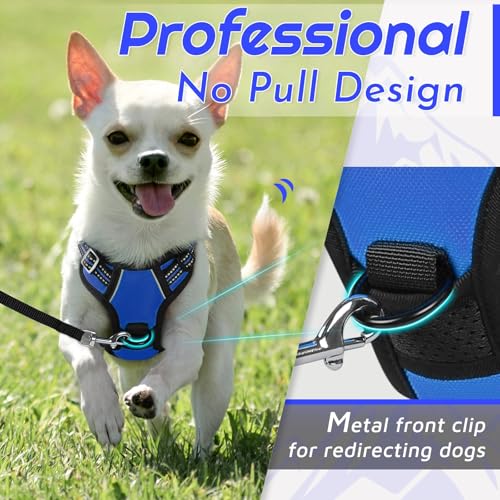 Image of Eagloo Dog Harness for Small Dogs, No Pull Pet Vest with 2 Leash Clips