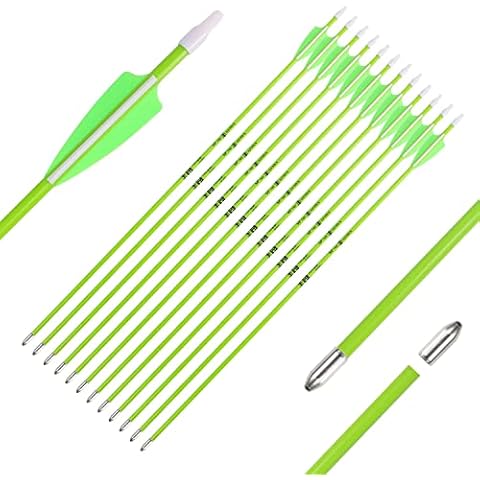 TIGER ARCHERY 28inch Archery Fiberglass Youth Arrows for Recurve Bows- Beginners Adult and Youth Kids Arrows Practice (Pack of 12) (Green Bullet Tips) Cover