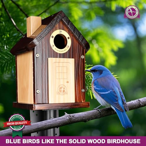 Bluebirdhousesforoutsidepremiumbirdhousesforoutsidewoodencabinbirdhousesforoutdoorsweatherproofcourtyarddecoratedhangingbirdhousenestingbirdhouse  Urban Country Home Decor Bluebird houses for outside premium bird houses for outside wooden cabin birdhouses for outdoors weatherproof courtyard decorated hanging bird house nesting bird house  urban country home decor