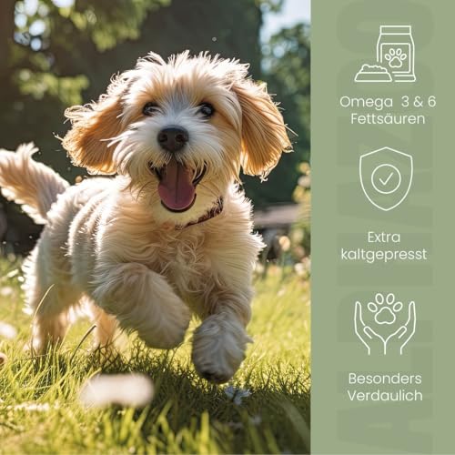 alphazoo Premium Leinöl für Hunde 100 ml – Kaltgepresstes Omega‑3 & Omega‑6 Hundefettöl zur Fellpflege & Verdauungsförderung