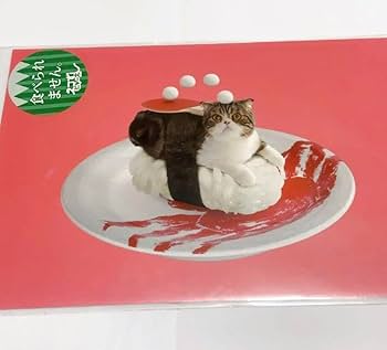 猫寿司 31VOR74bOYL.jpg_BO30,255,255,